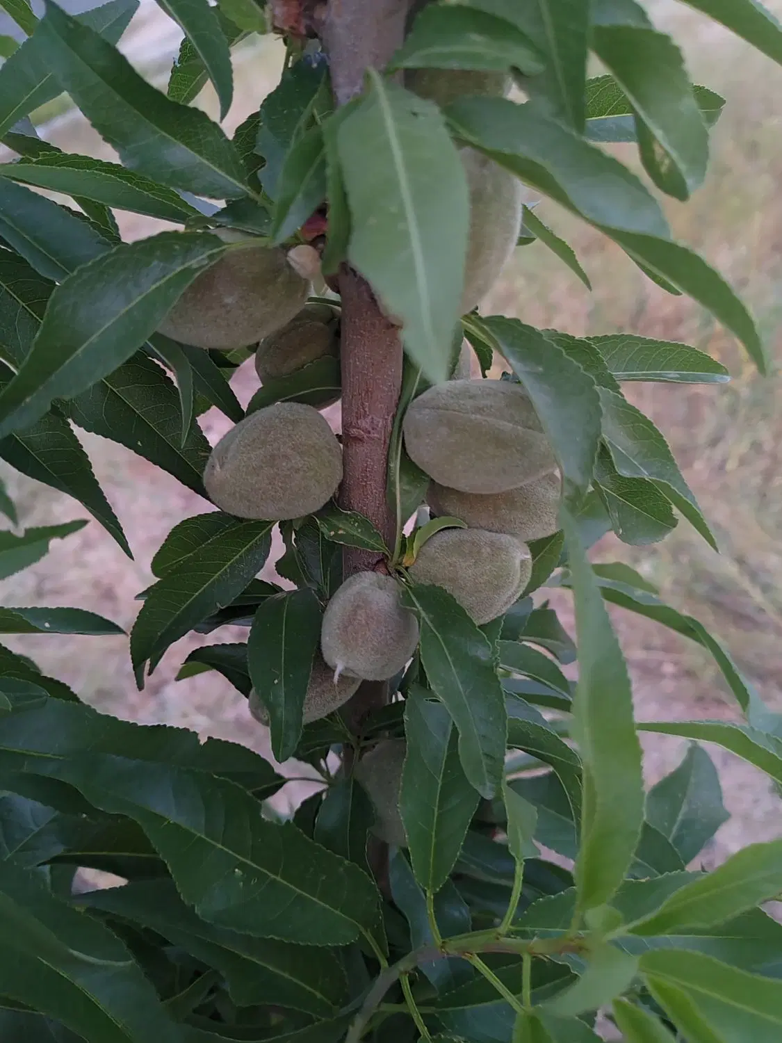 تصویر 4