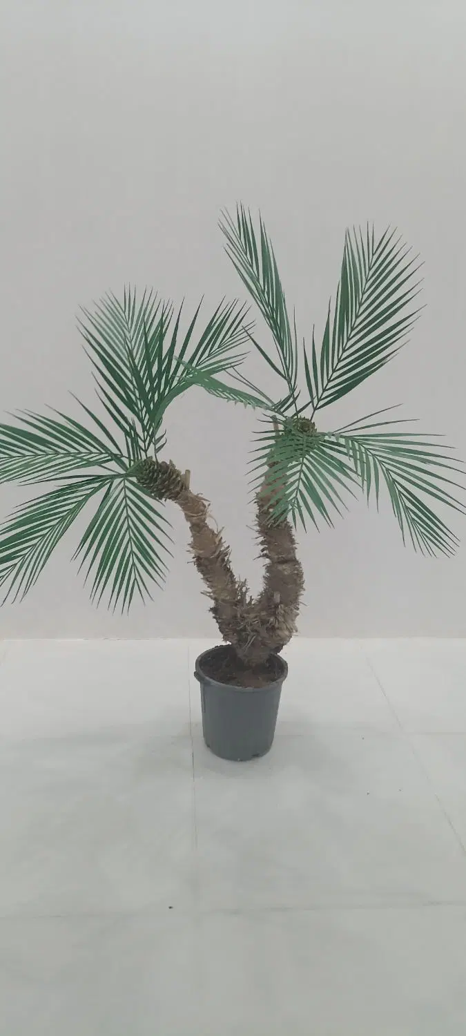 درختچه|گل مصنوعی|سبزوار, قصبه شرقی|دیوار