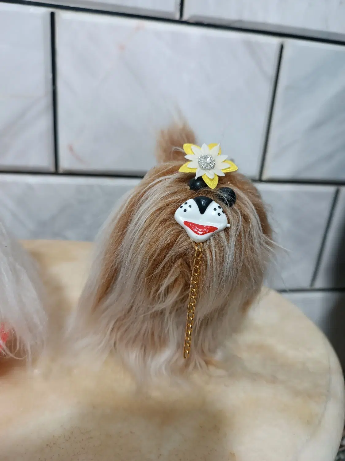 عروسک|اسباب‌بازی بچه|کنگاور, |دیوار