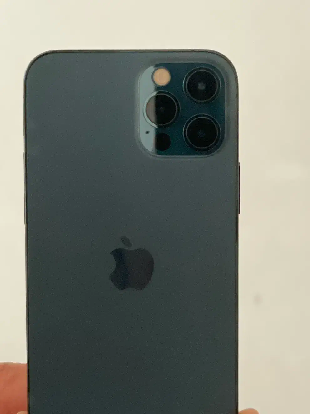 iPhone 12 Pro|موبایل|رشت, گلسار|دیوار