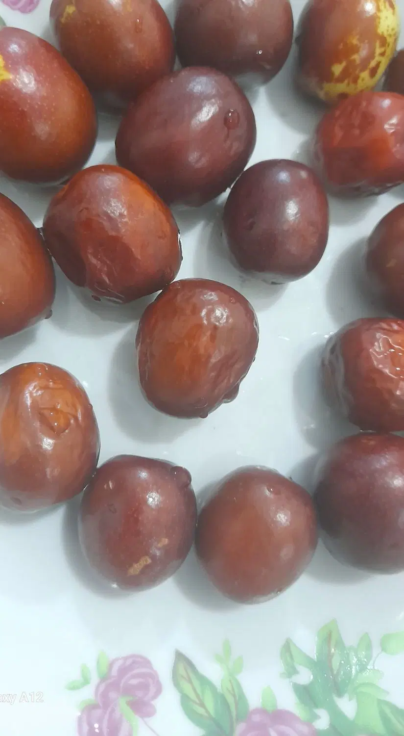 عناب|خوردنی و آشامیدنی|باخزر, |دیوار