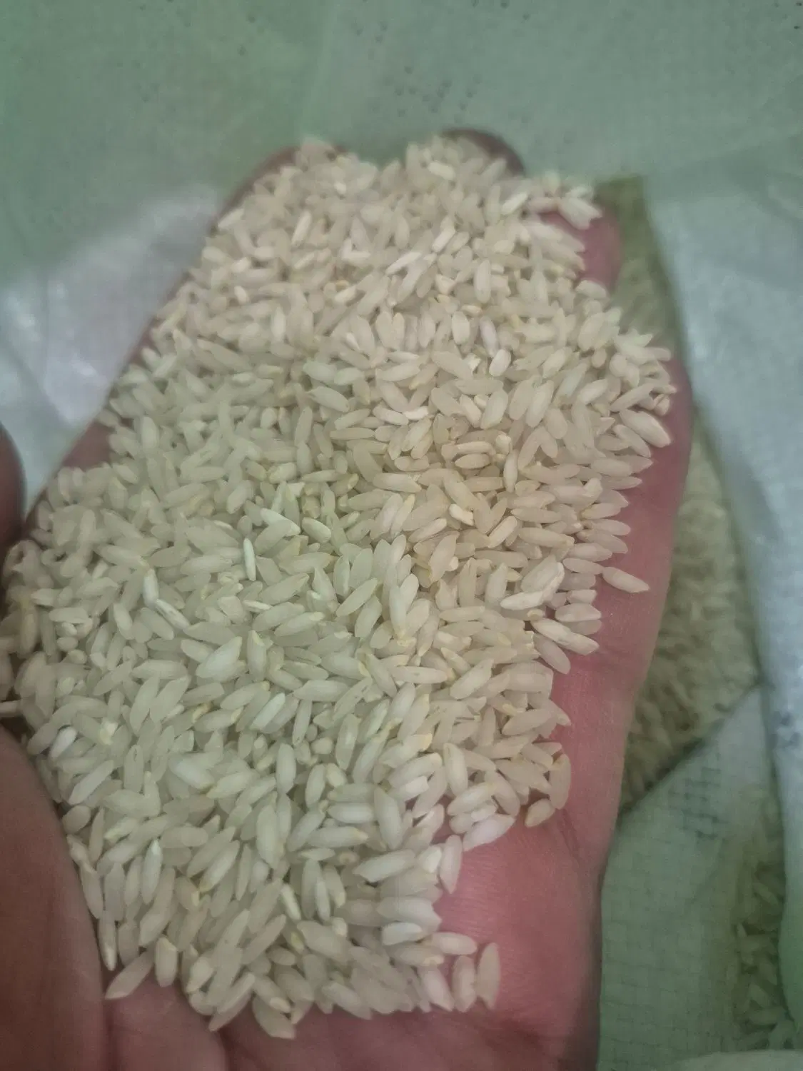 برنج|خوردنی و آشامیدنی|دزفول, |دیوار