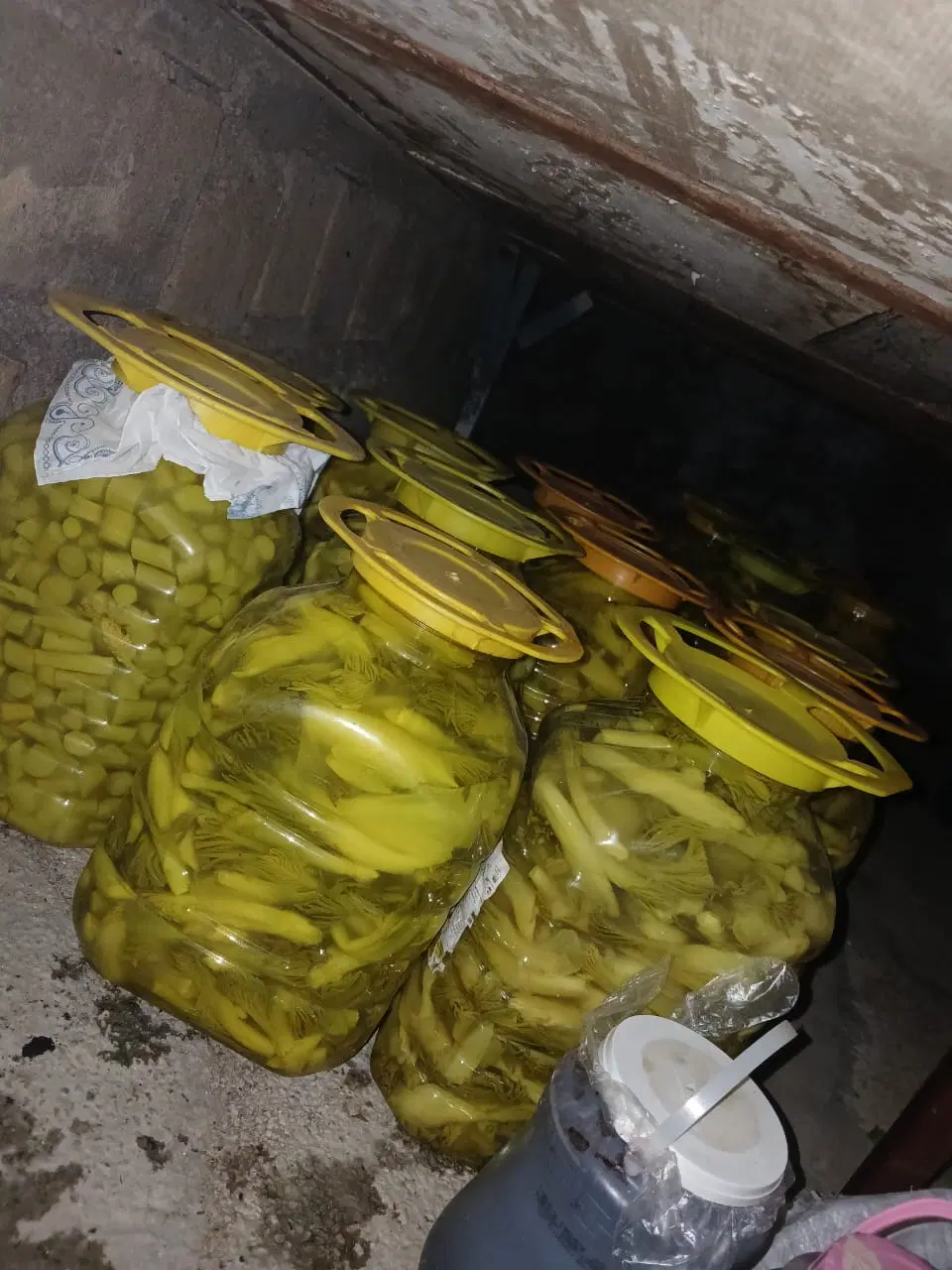 12000000|خوردنی و آشامیدنی|یاسوج, |دیوار