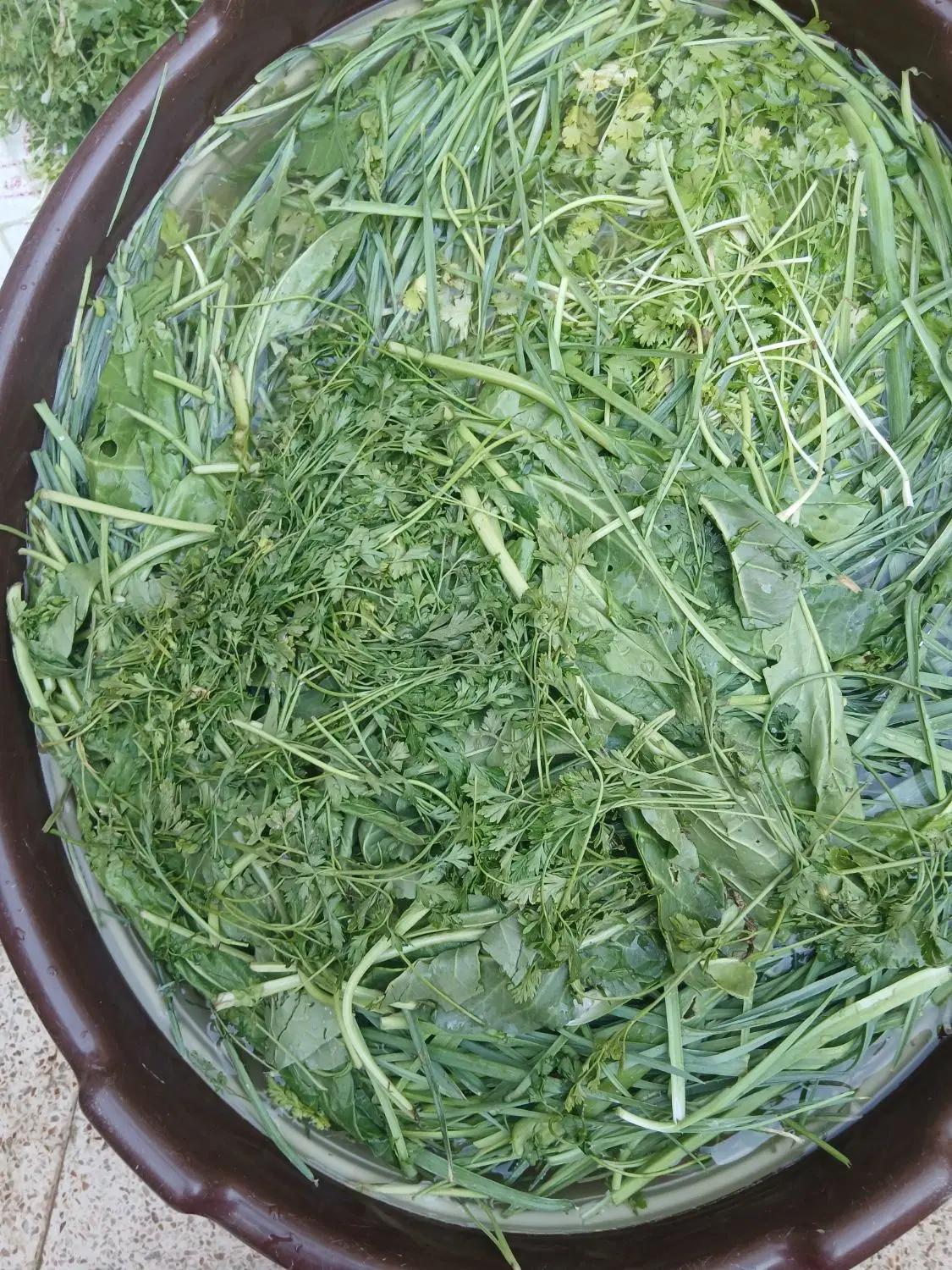سبزی|خوردنی و آشامیدنی|اهواز, کوی رمضان|دیوار
