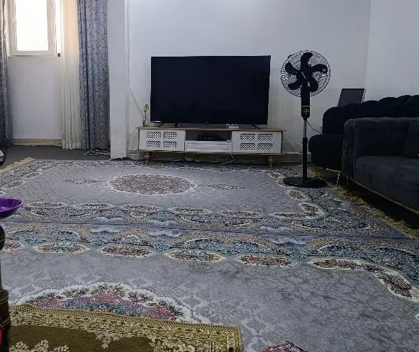 فرش|فرش|بندر ماهشهر, |دیوار
