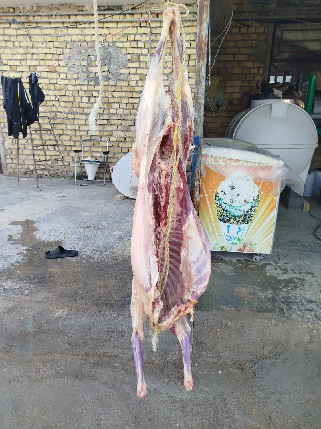 میش|خوردنی و آشامیدنی|شیروان (خراسان), |دیوار