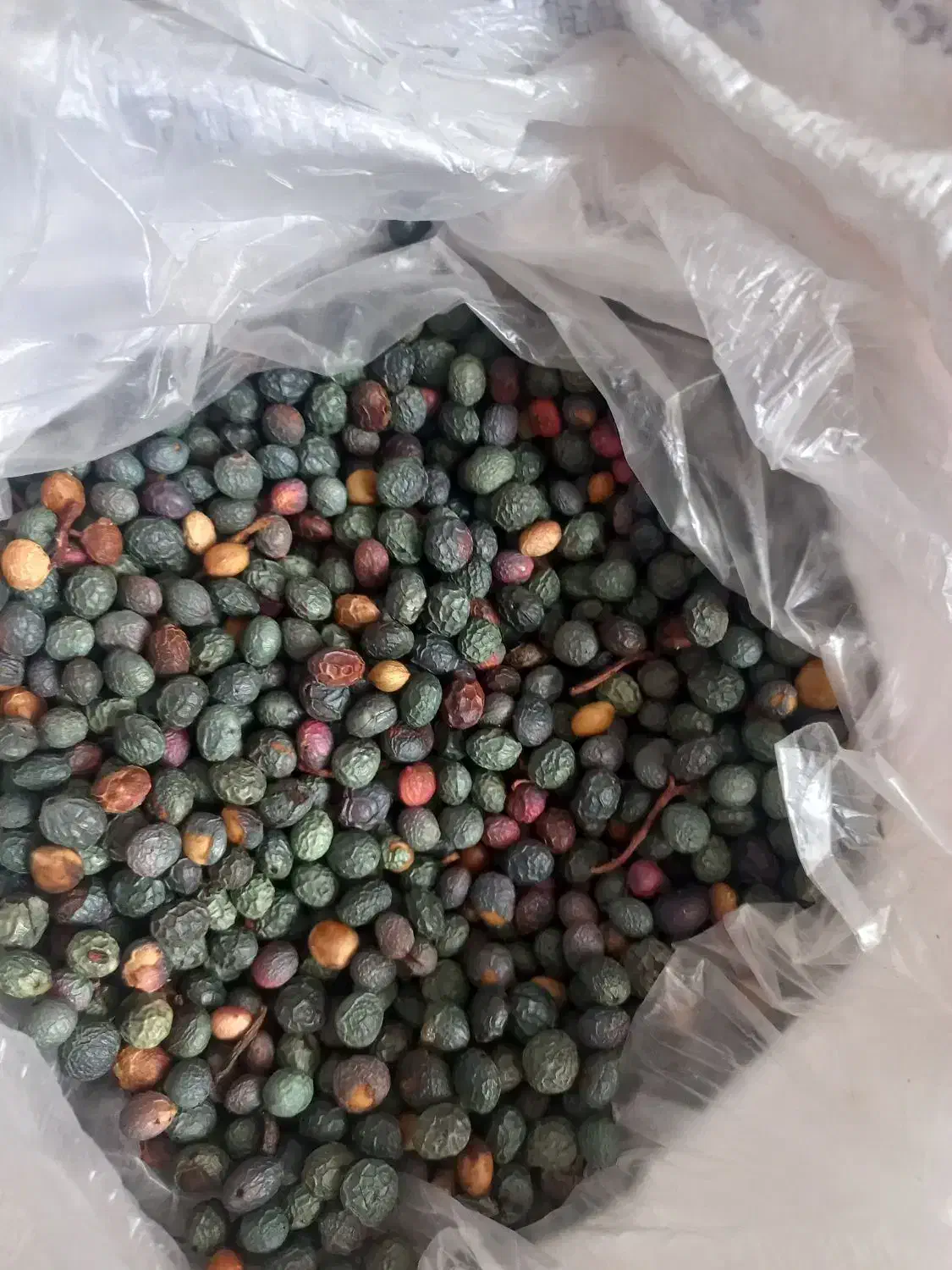 بنه|خوردنی و آشامیدنی|شیراز, شاهجیان|دیوار