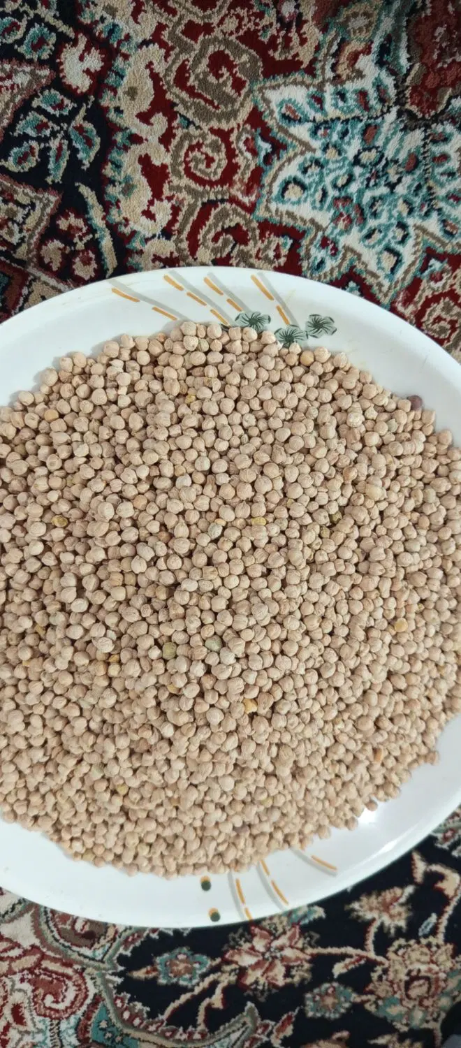 نخود|خوردنی و آشامیدنی|یاسوج, |دیوار