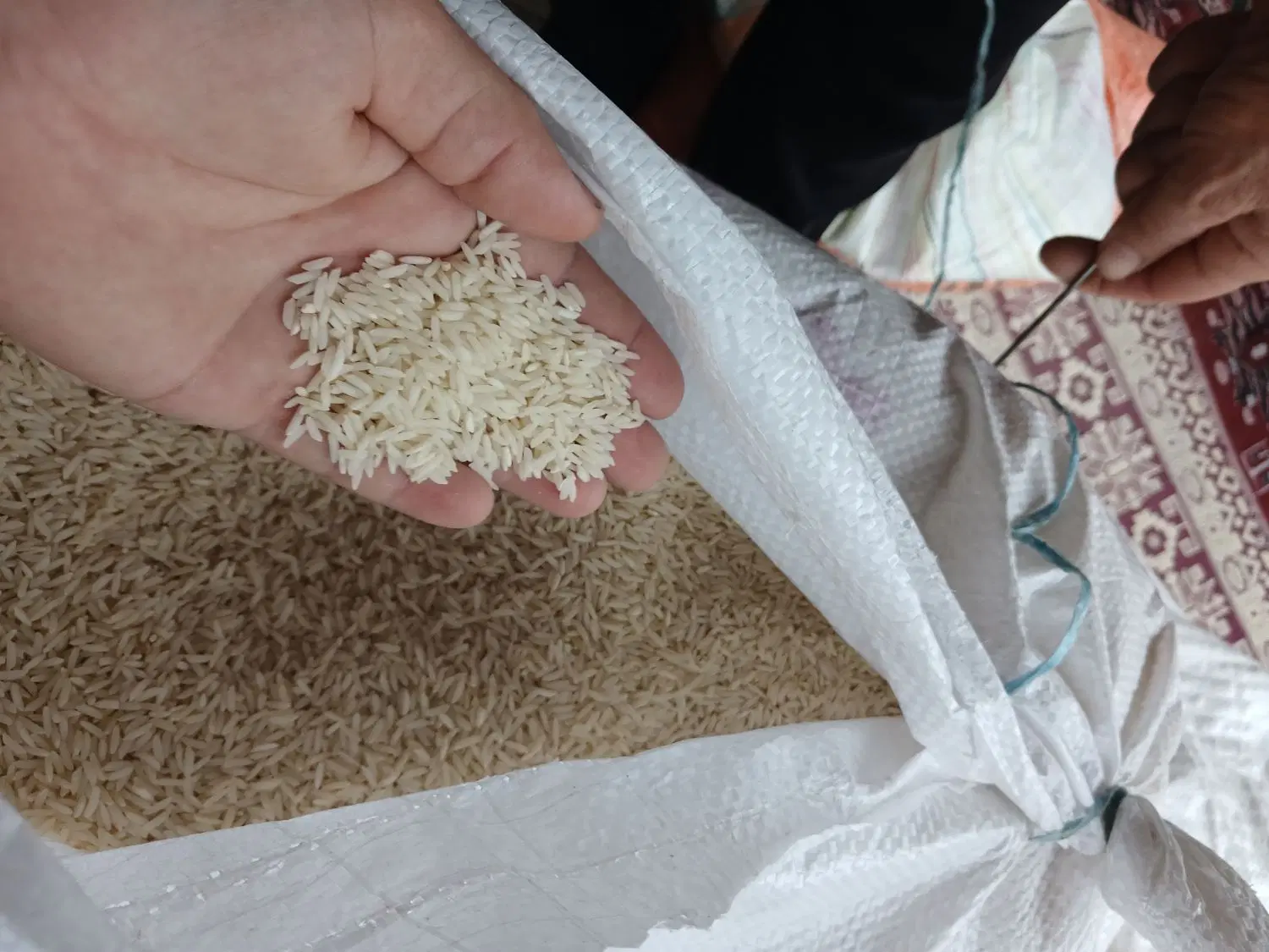 برنج|خوردنی و آشامیدنی|شفت, |دیوار