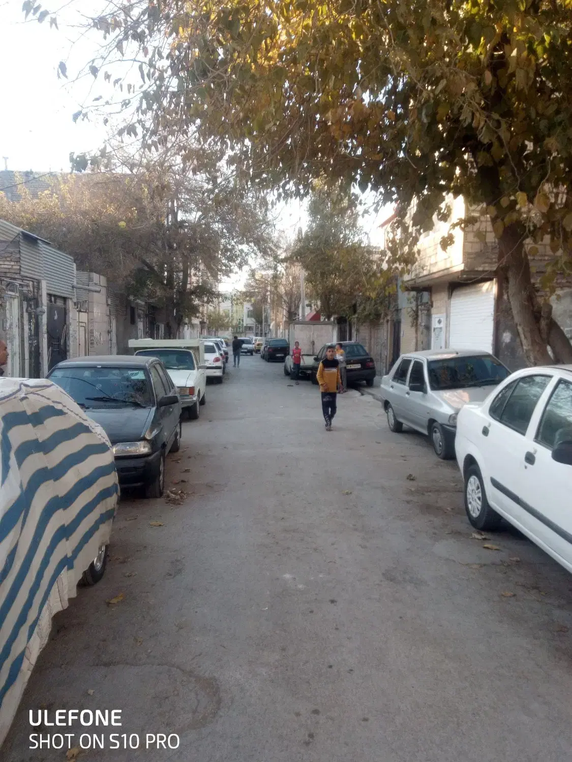 تصویر 4