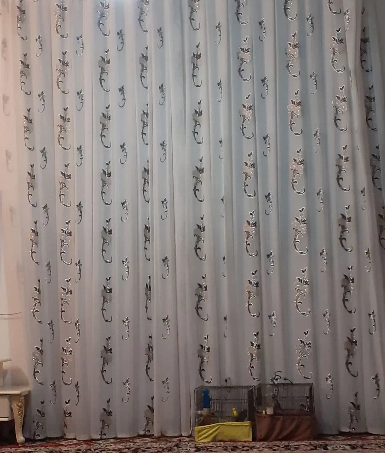 پرده حریر|پرده، رانر، رومیزی|اشتهارد, |دیوار