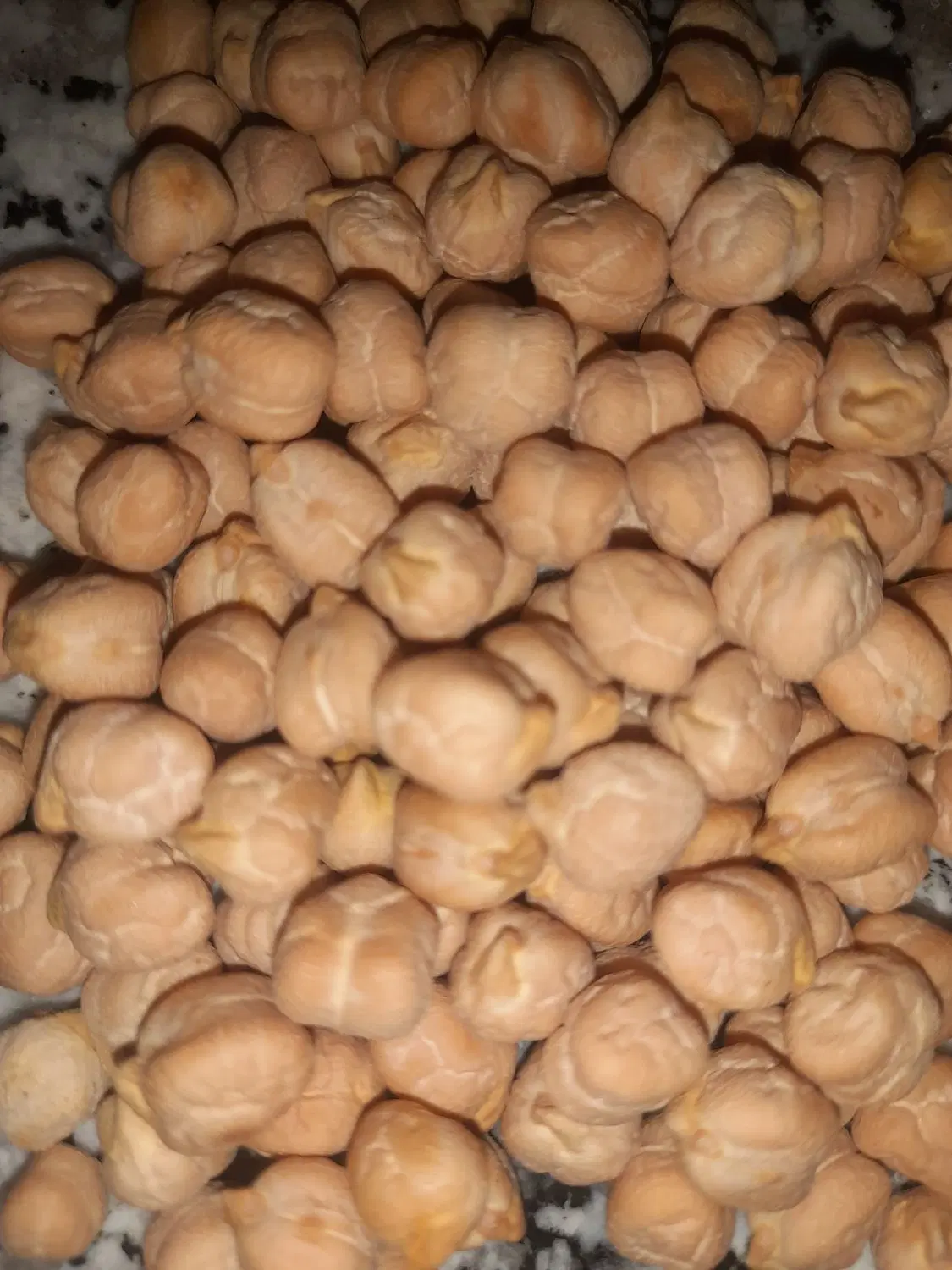 نخود|خوردنی و آشامیدنی|الشتر, |دیوار