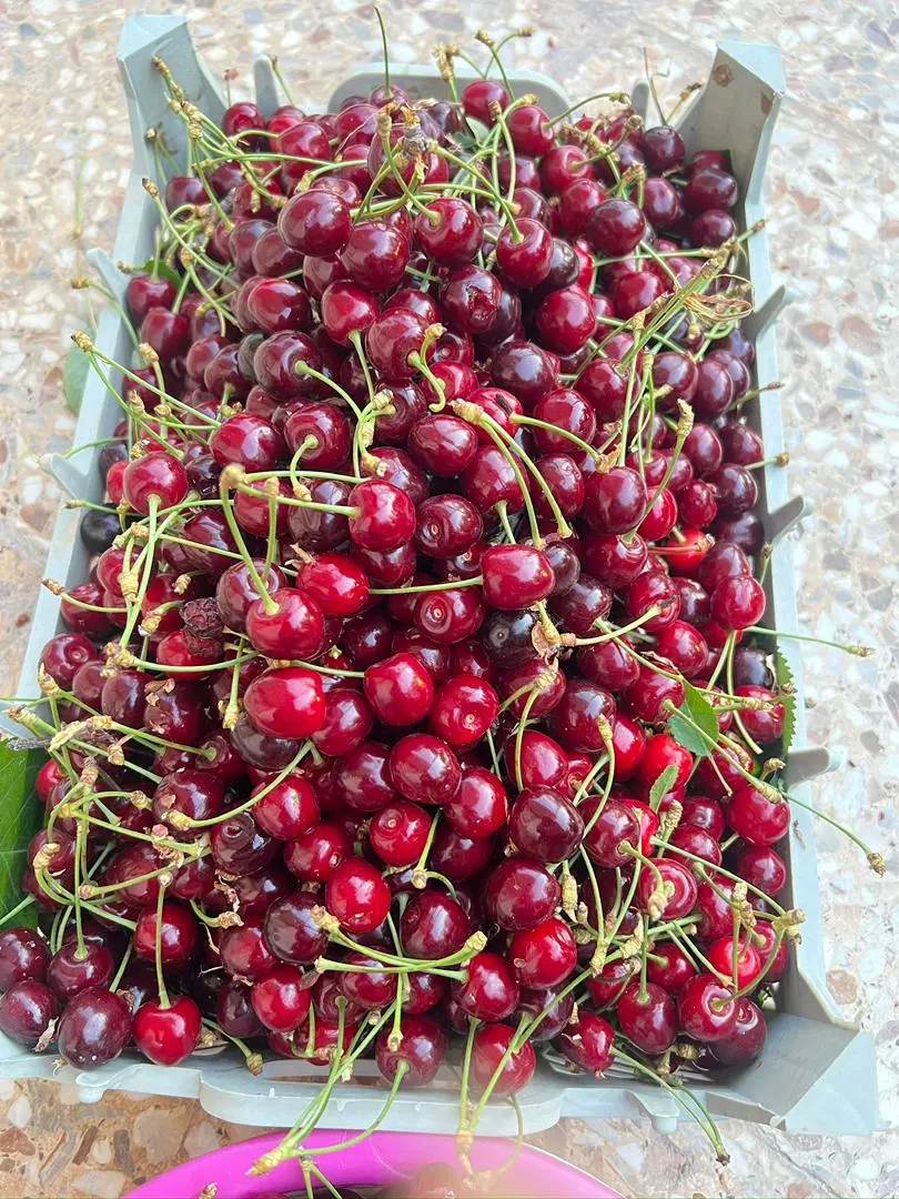تصویر 8