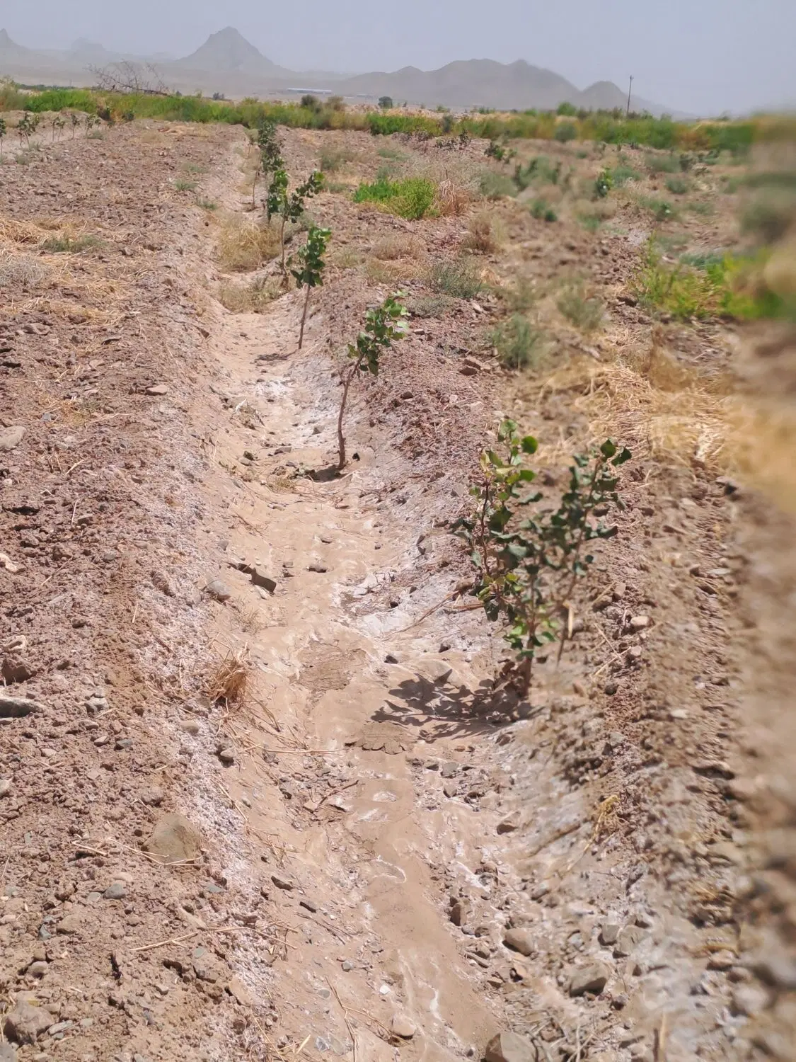 تصویر 3
