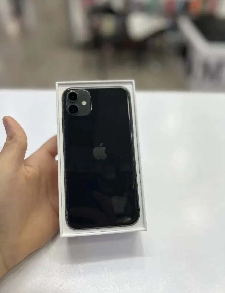 Iphone 11|موبایل|کرج, کوی امامیه|دیوار
