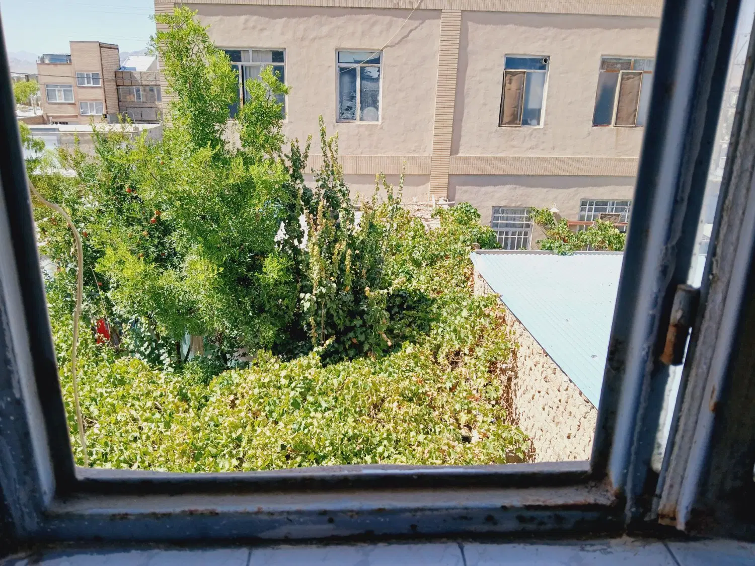 تصویر 12