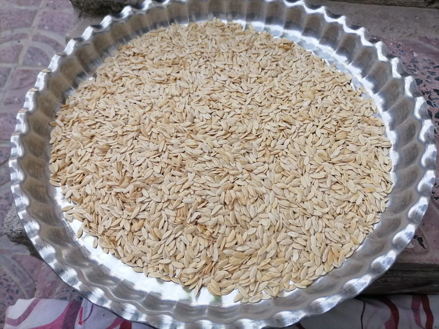 بذر خیار ps|خدمات باغبانی و درختکاری|کیار, |دیوار