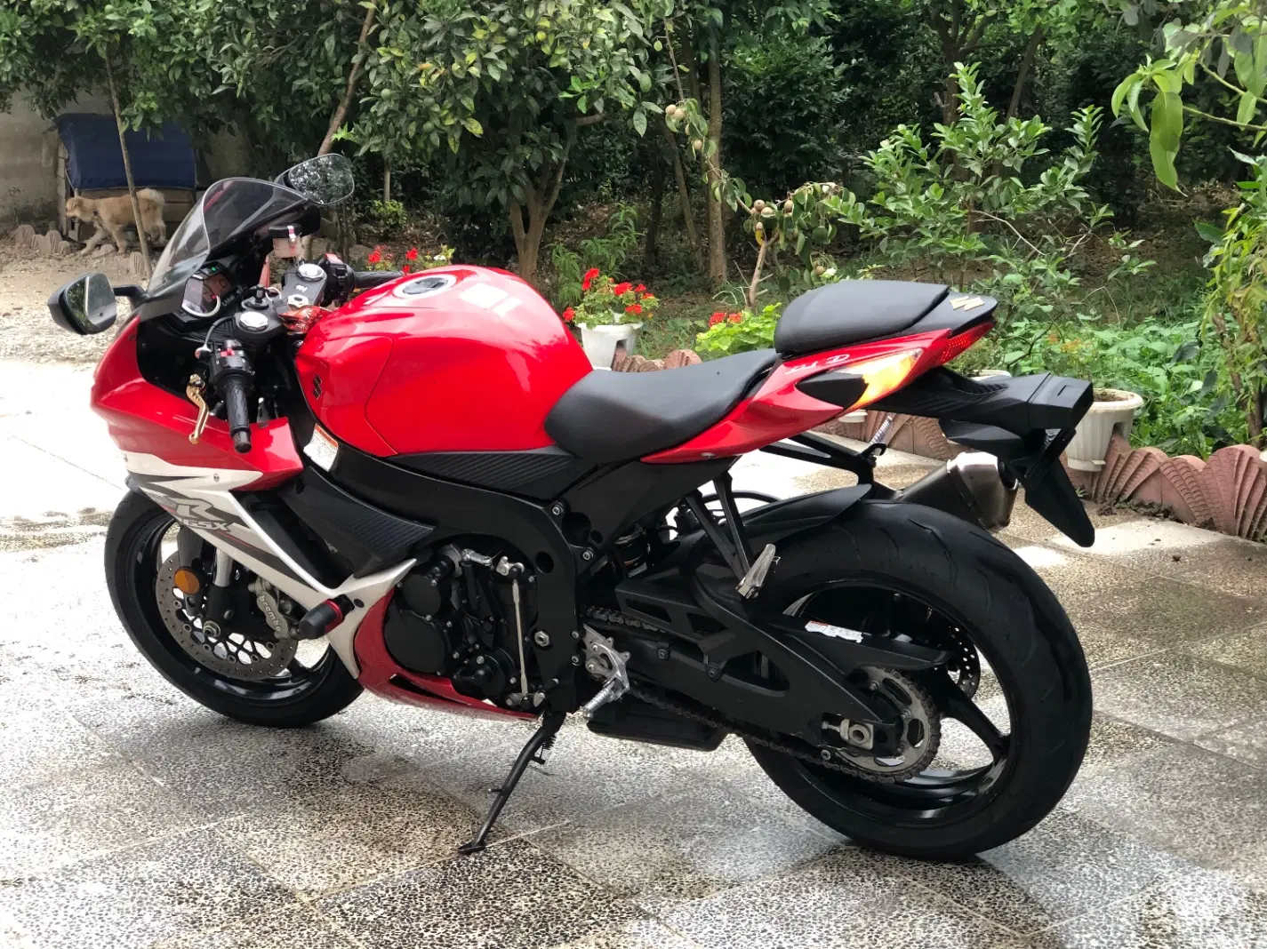 GsexR600|موتورسیکلت|رودسر, |دیوار