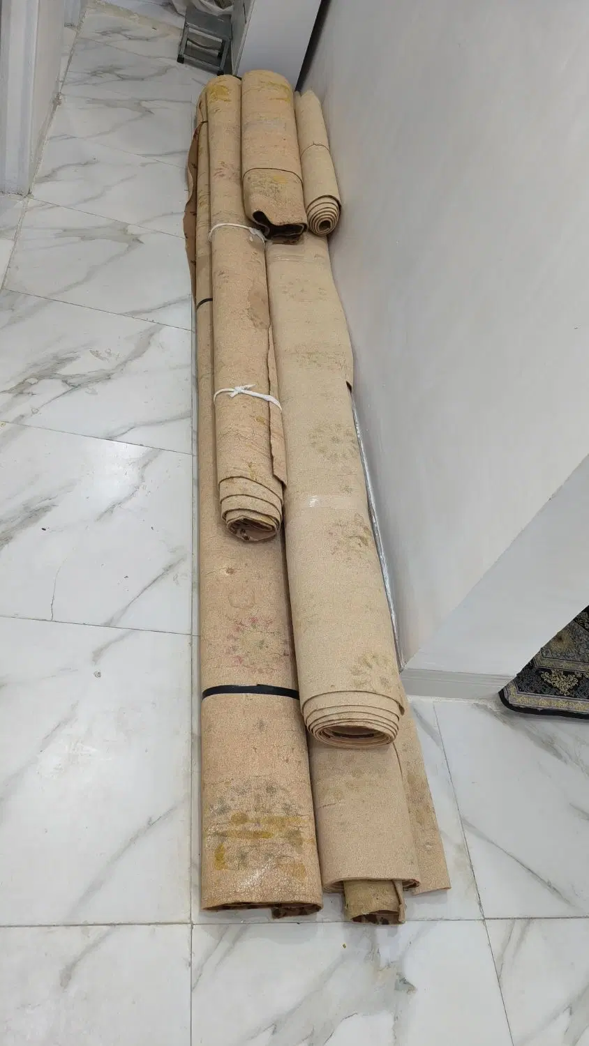 موکت|موکت|شادگان, |دیوار