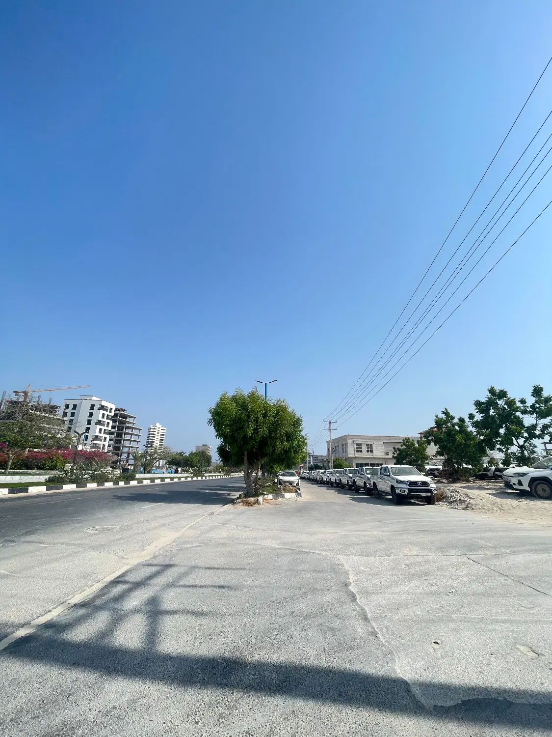 تصویر 8