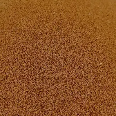 خاکشیر|خوردنی و آشامیدنی|بندرعباس, |دیوار