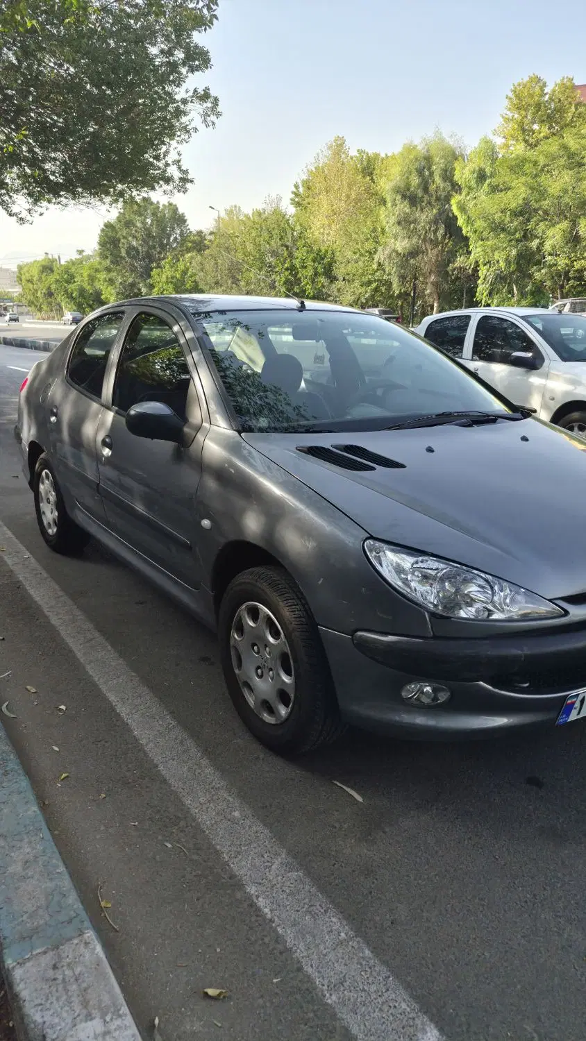 206 SD V9 91|خودرو سواری و وانت|تهران, ابوذر|دیوار