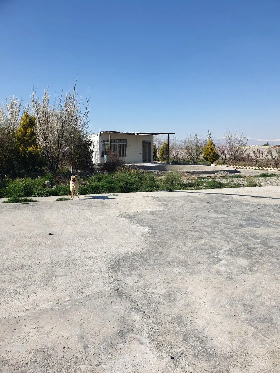 نگهبان|استخدام سرایداری و نظافت|رباط‌کریم, کیکاور|دیوار