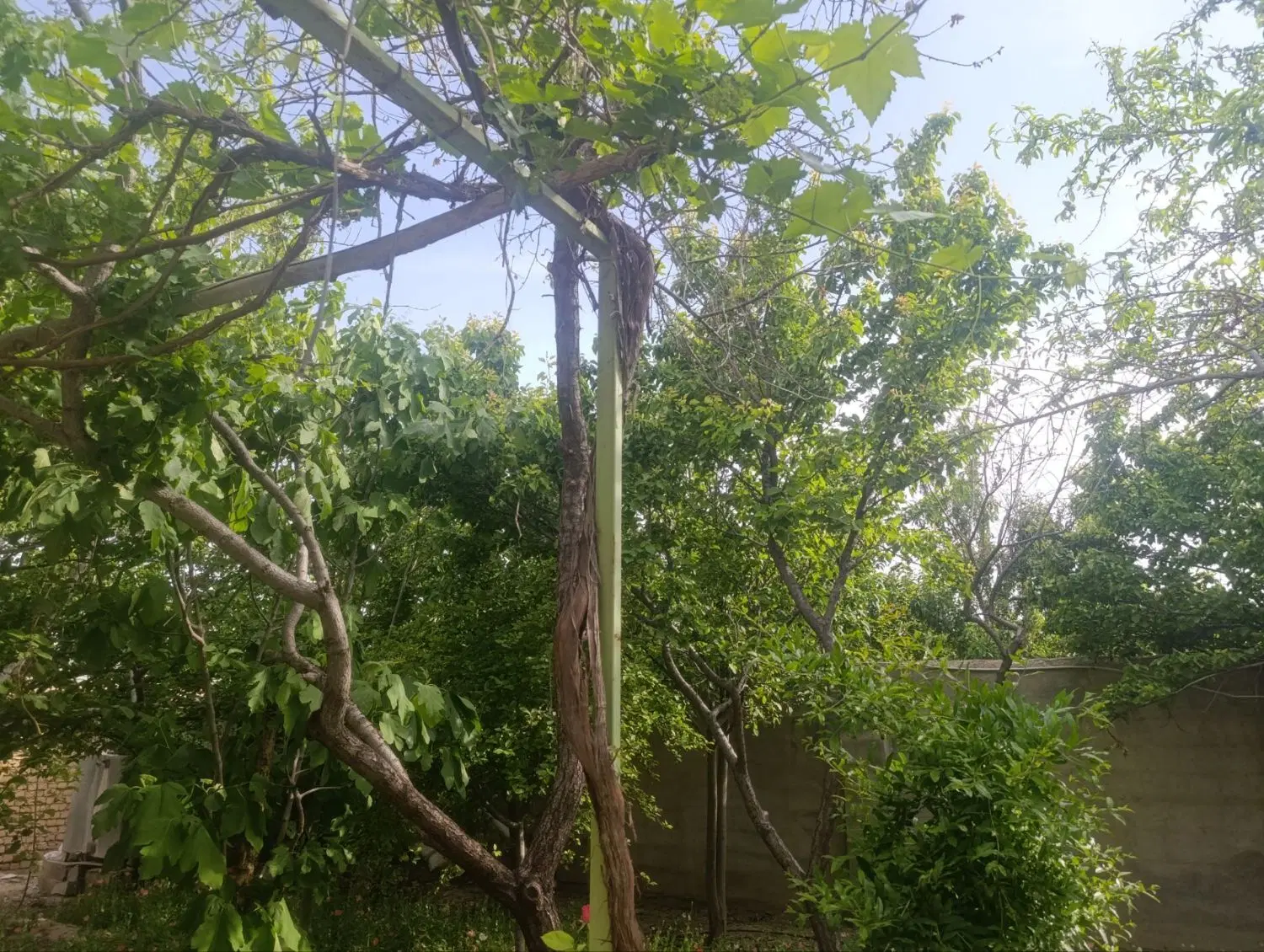 تصویر 4