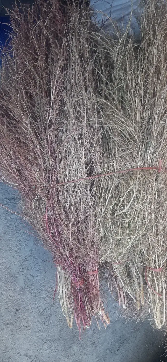 جارو|لوازم نظافت|کارزان, |دیوار