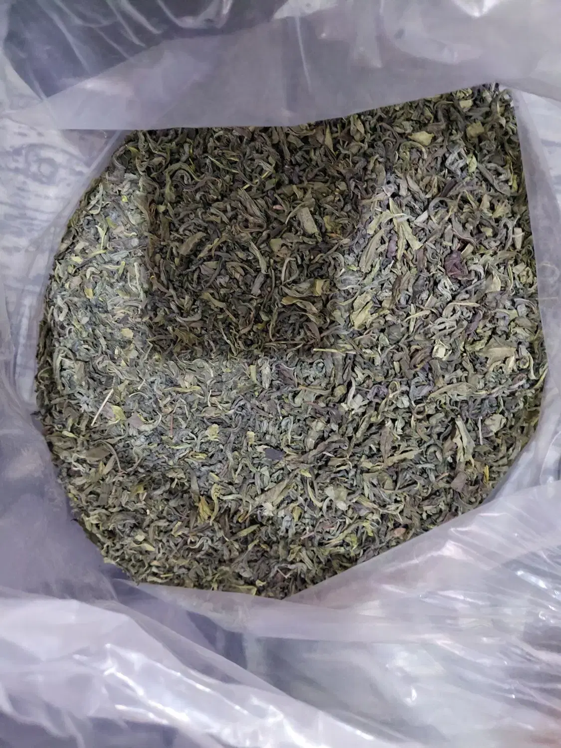 چای سبز|خوردنی و آشامیدنی|رشت, توشیبا|دیوار