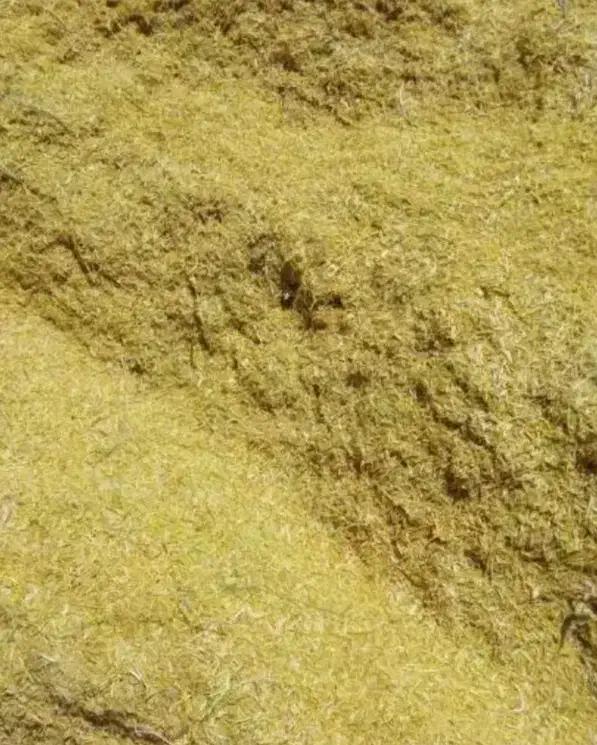 کاه عدس|لوازم جانبی حیوانات|خرمدره, |دیوار