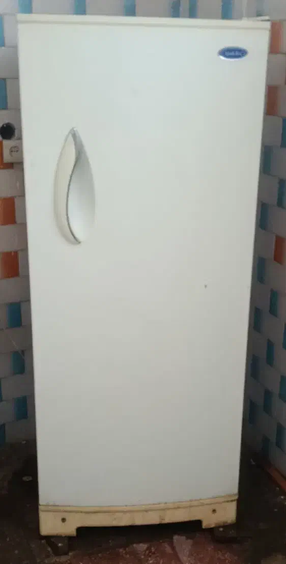 یخچال|یخچال و فریزر|لالجین, |دیوار