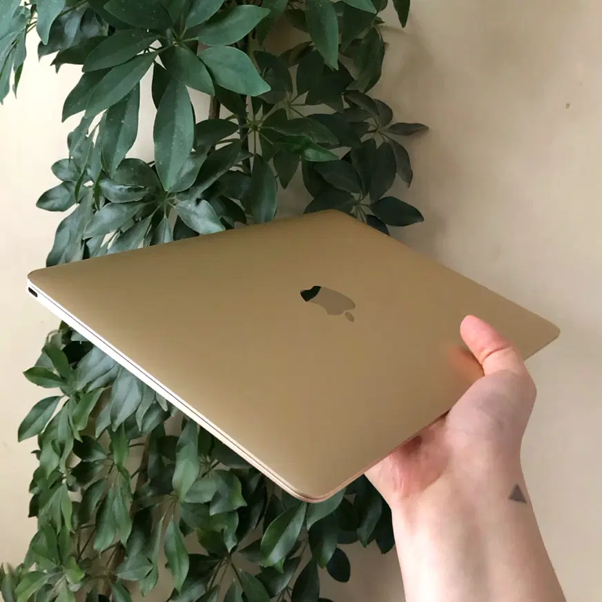 MacBook early 2015|رایانه همراه|مشهد, حجاب (شهرک غرب)|دیوار