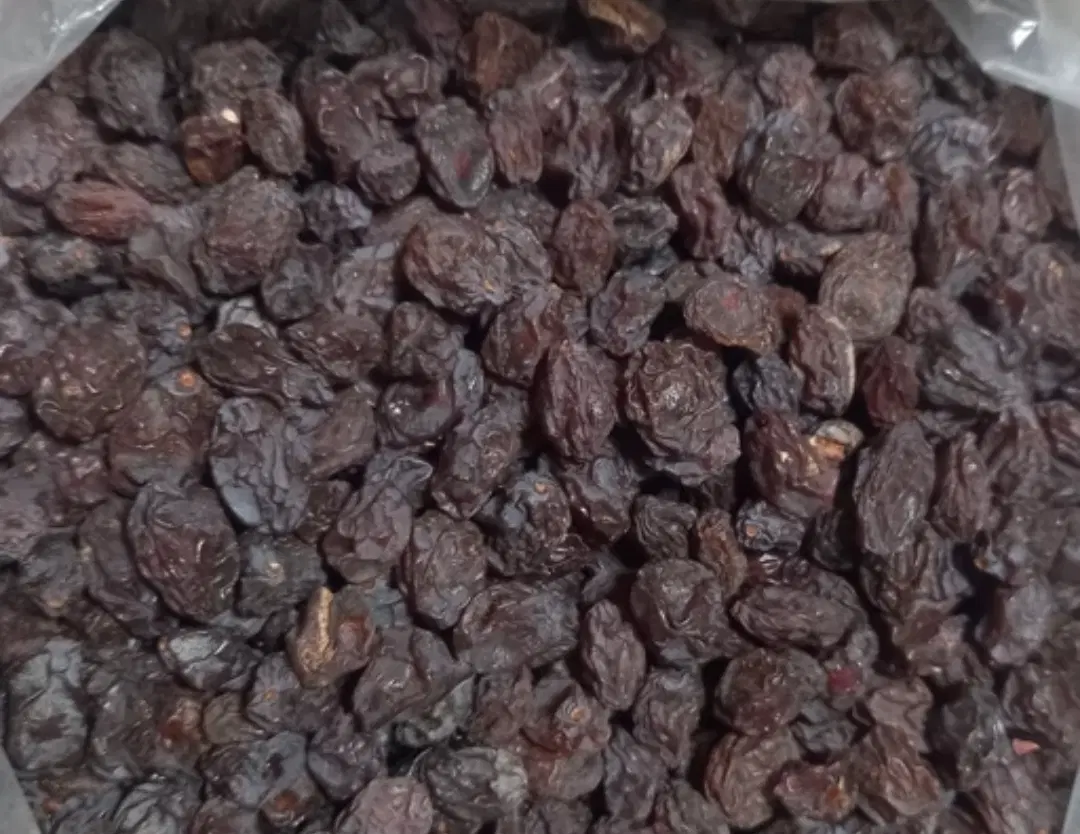 مویز|خوردنی و آشامیدنی|سبزوار, هفت تیر|دیوار