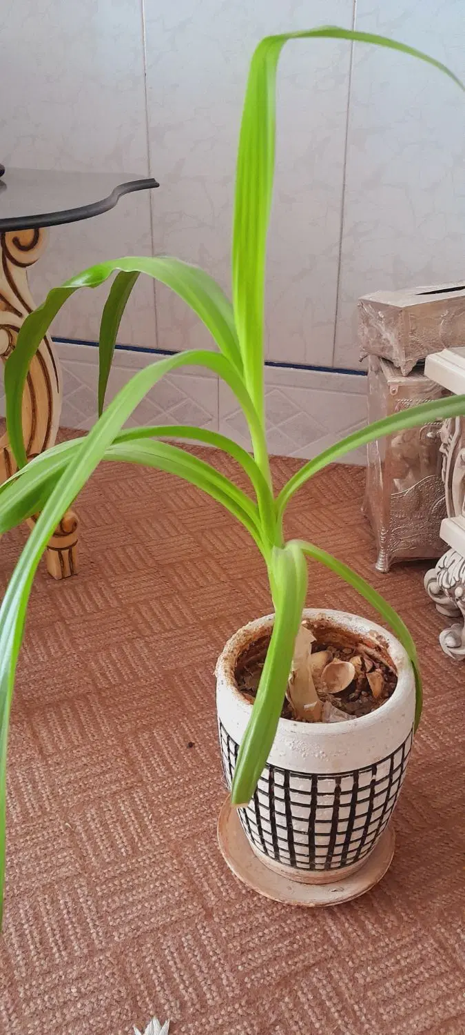 سلام .|حراج|اصفهان, خیادان|دیوار