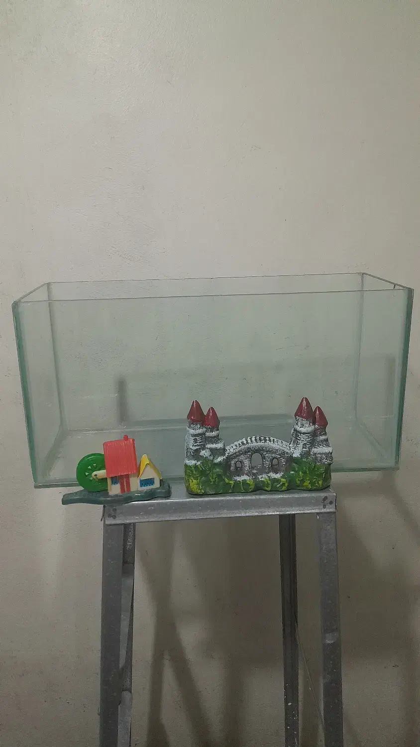 آکواریوم|ماهی|تهران, مینابی|دیوار