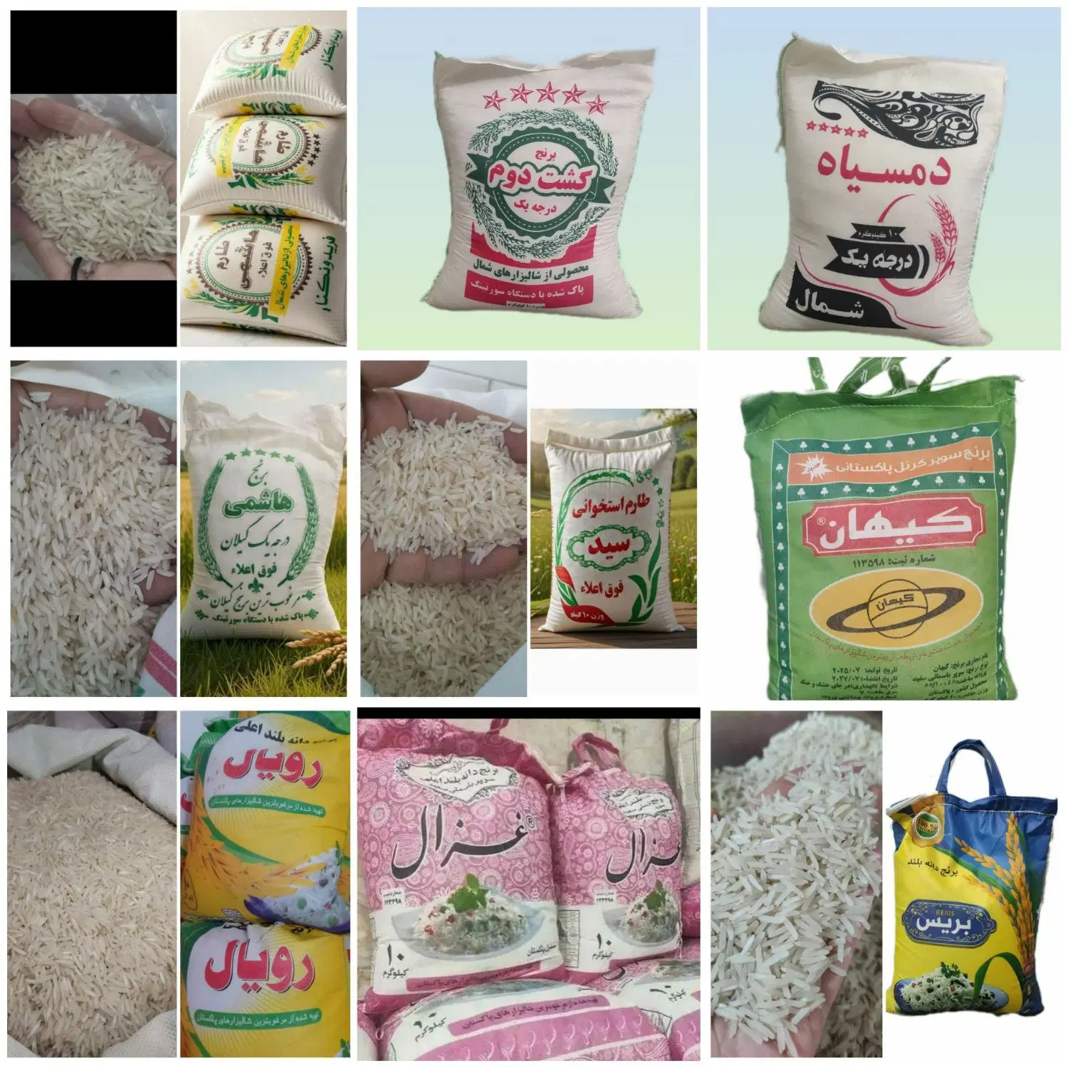 برنج|عمده‌فروشی|شاندیز, |دیوار