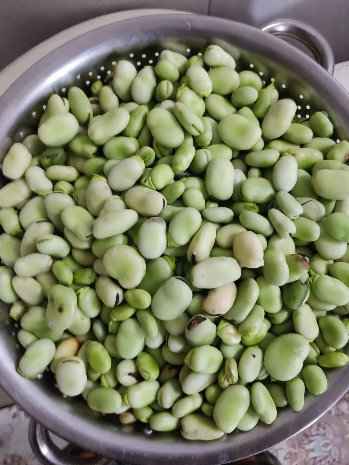 باقلی|خوردنی و آشامیدنی|قم, کلهری|دیوار
