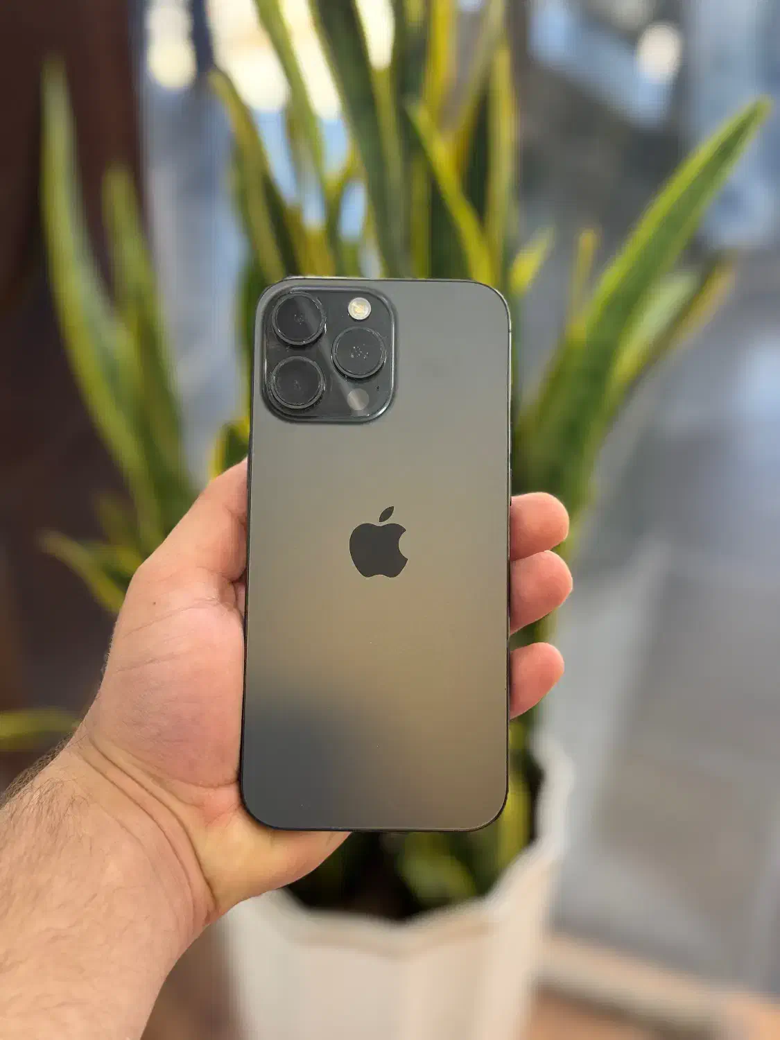 iphone|موبایل|شیراز, ملاصدرا|دیوار