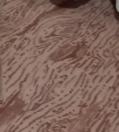 موکت|موکت|آستانه اشرفیه, |دیوار