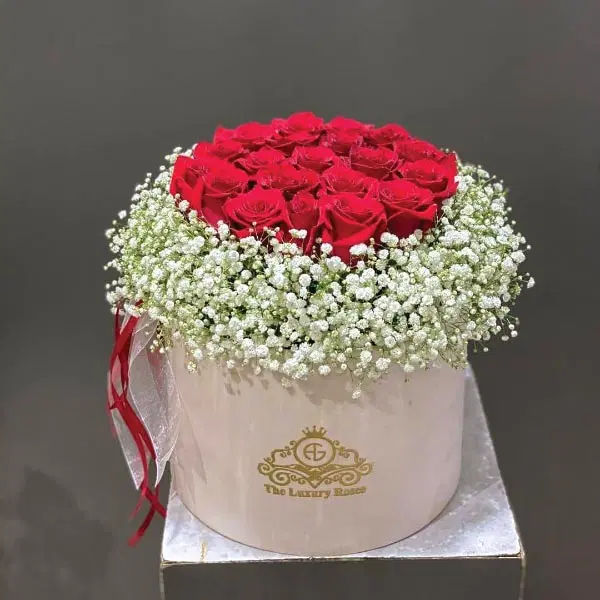 باکس گل|گل و گیاه طبیعی|شیراز, شهرک ولیعصر|دیوار