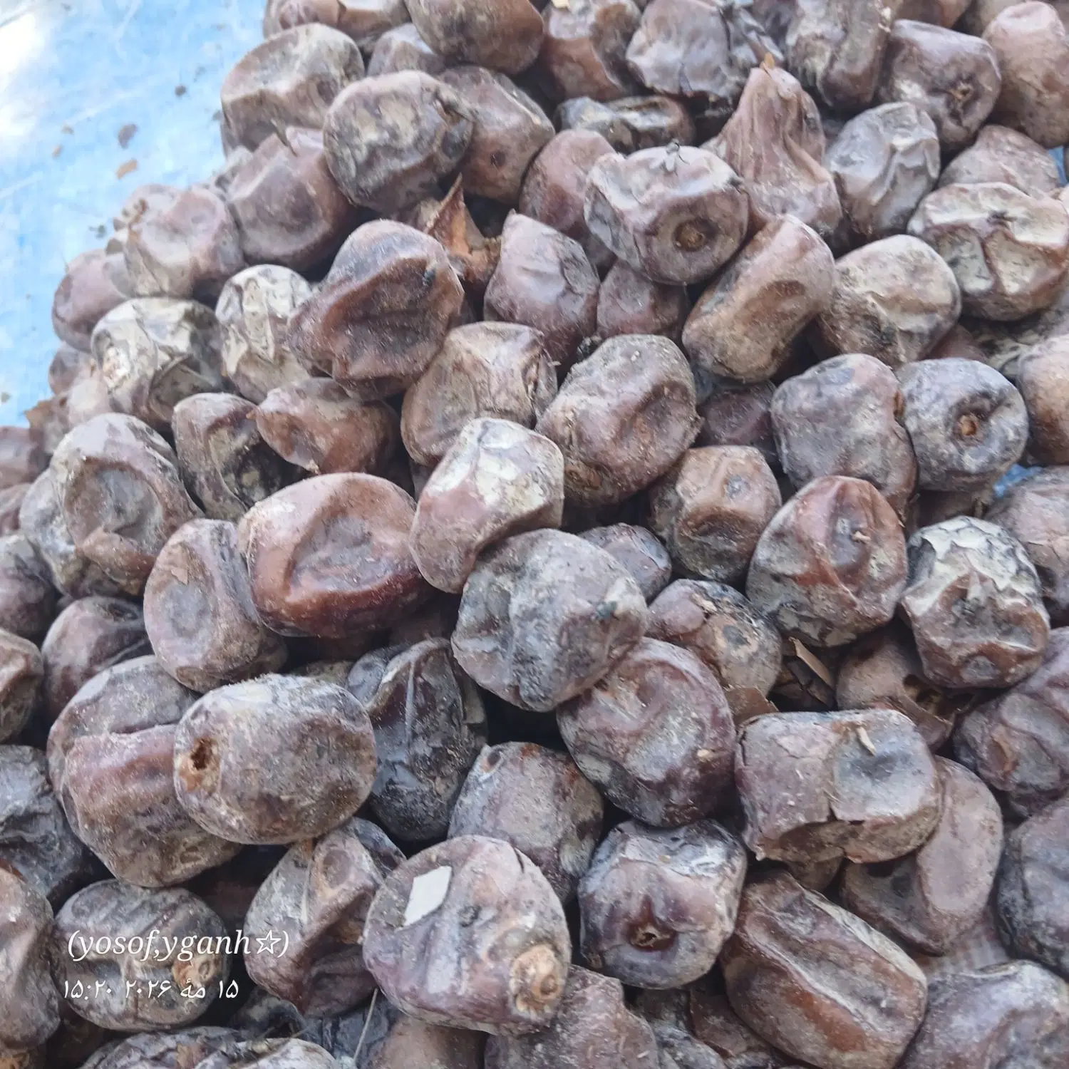 خرما|خوردنی و آشامیدنی|رفسنجان, |دیوار
