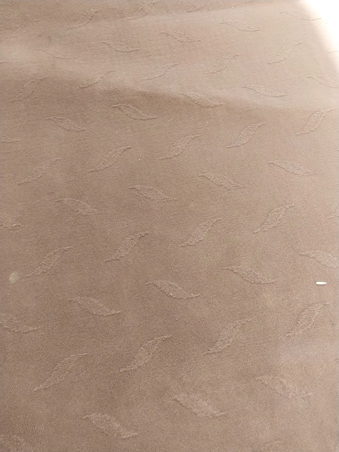 موکت|موکت|نجفآباد, حومه نجف آباد|دیوار