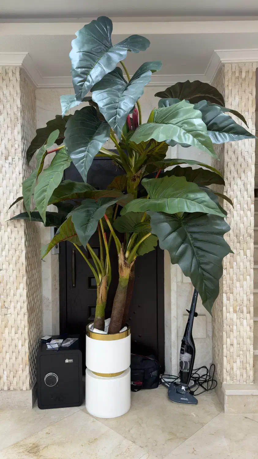 گل مصنوعی|گل مصنوعی|کیش, |دیوار