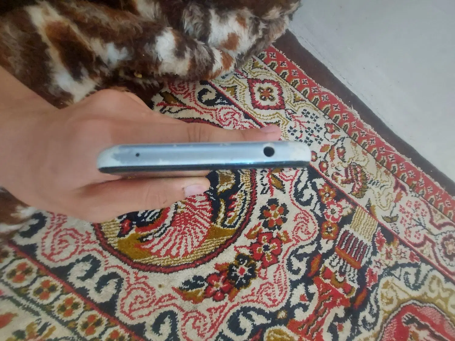 Nokia g20|موبایل|تبریز, |دیوار