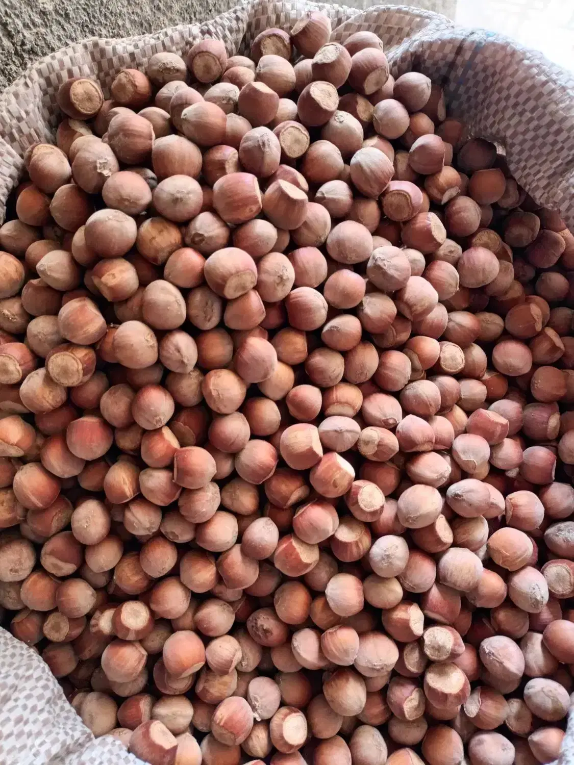 فندق|خوردنی و آشامیدنی|اسکو, |دیوار