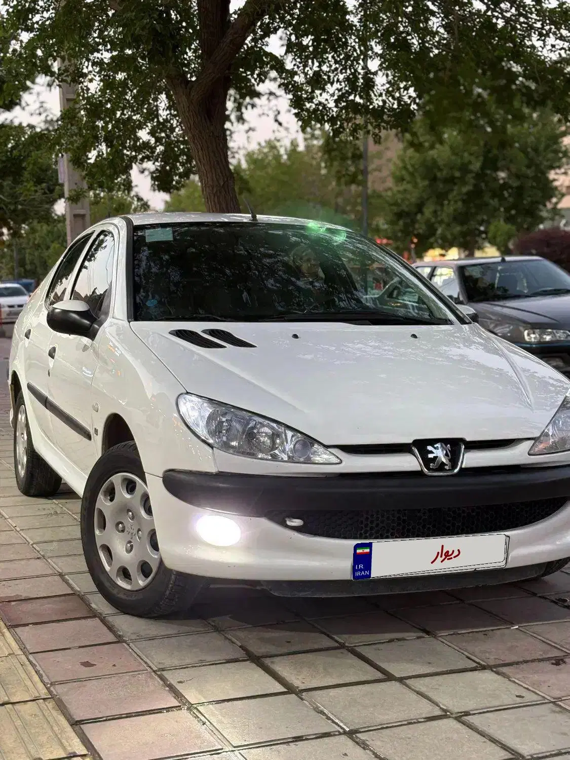 206ds v8|خودرو سواری و وانت|بوکان, |دیوار