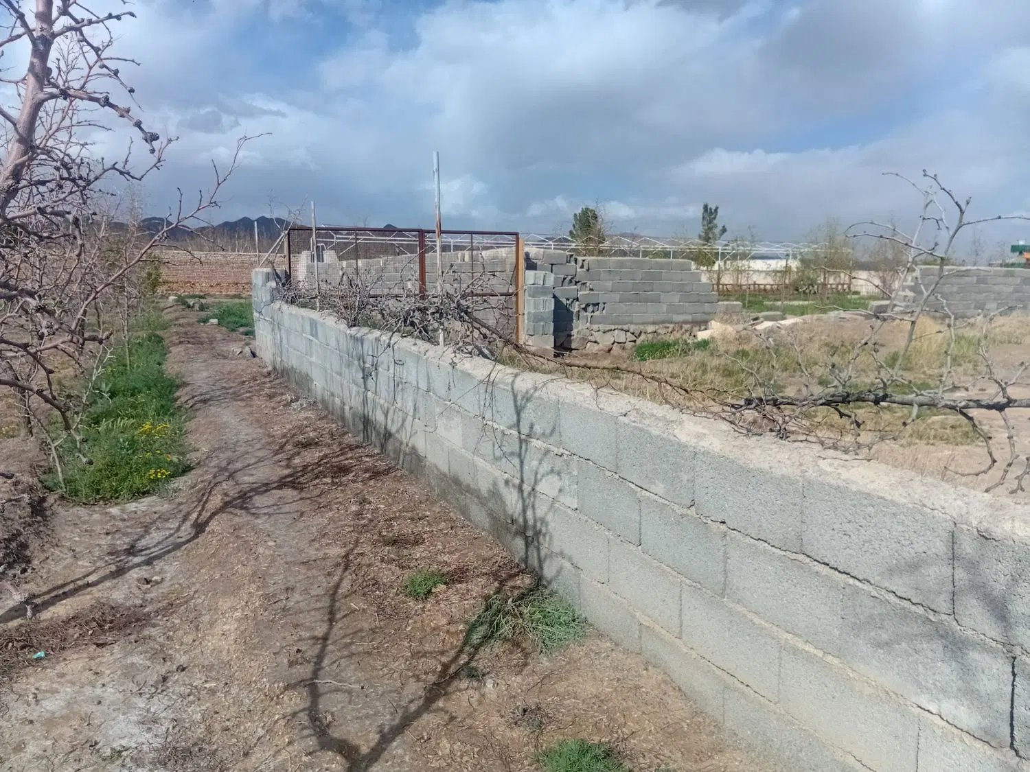 تصویر 7