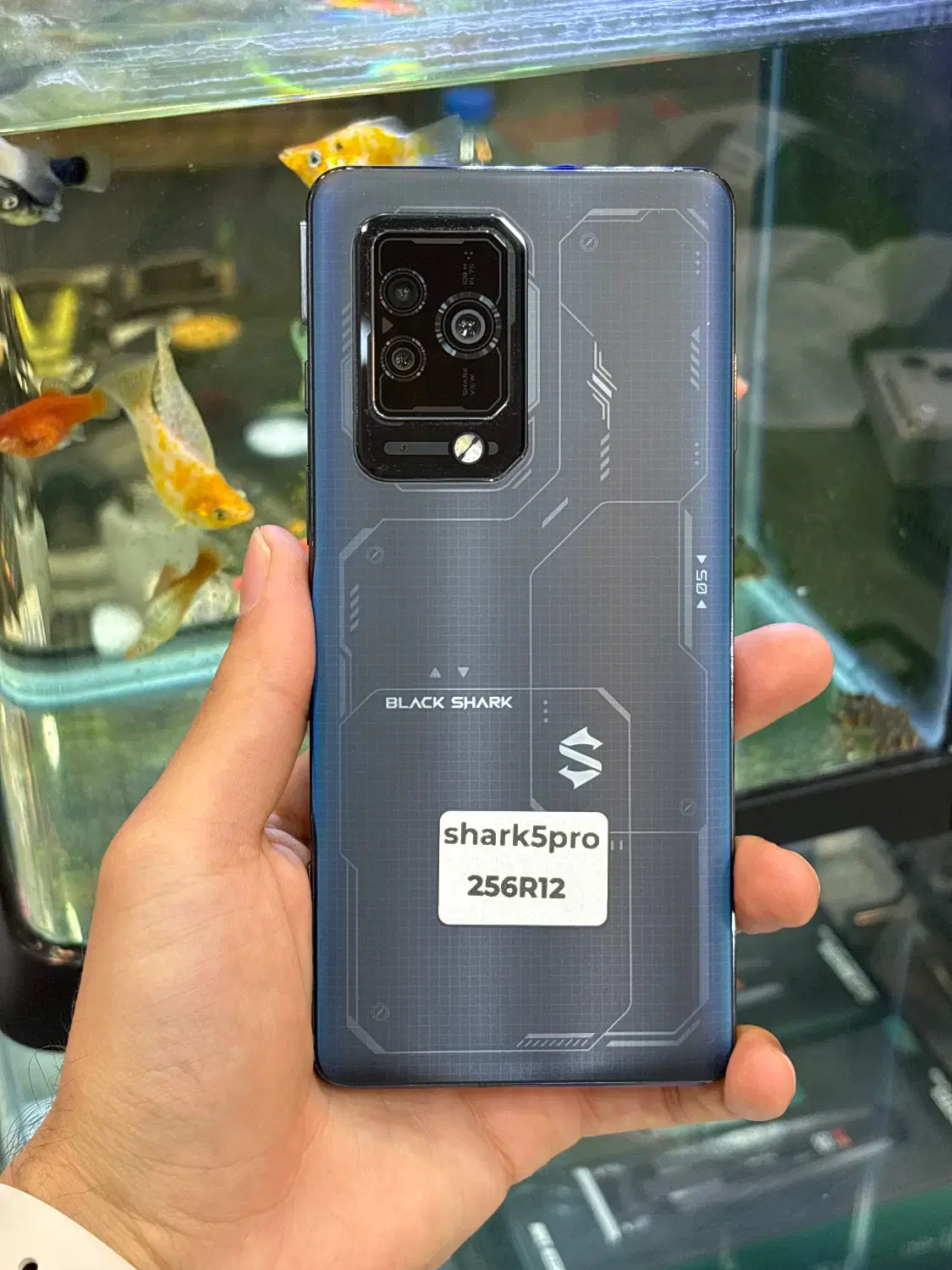 Shark5pro|موبایل|شیراز, زند|دیوار