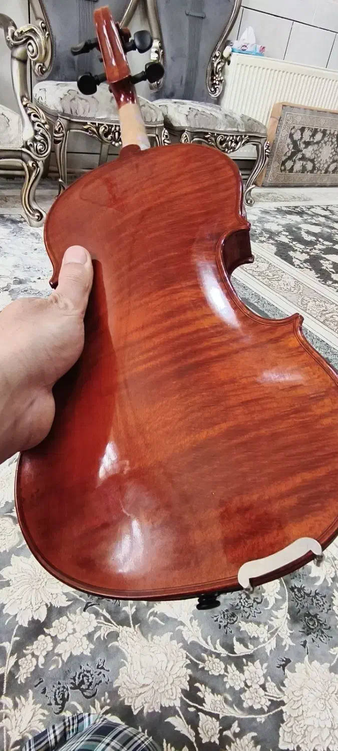 تی اف 800 tf|ویولن|اصفهان, باغ زرشک|دیوار